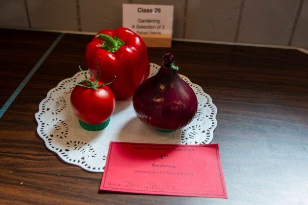 Photographs of entries for 2024 Kaber SHow